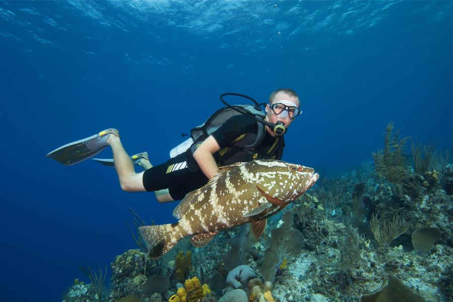 The Cayman Connection: Why Liveaboards Are Great For New Divers | Scuba ...